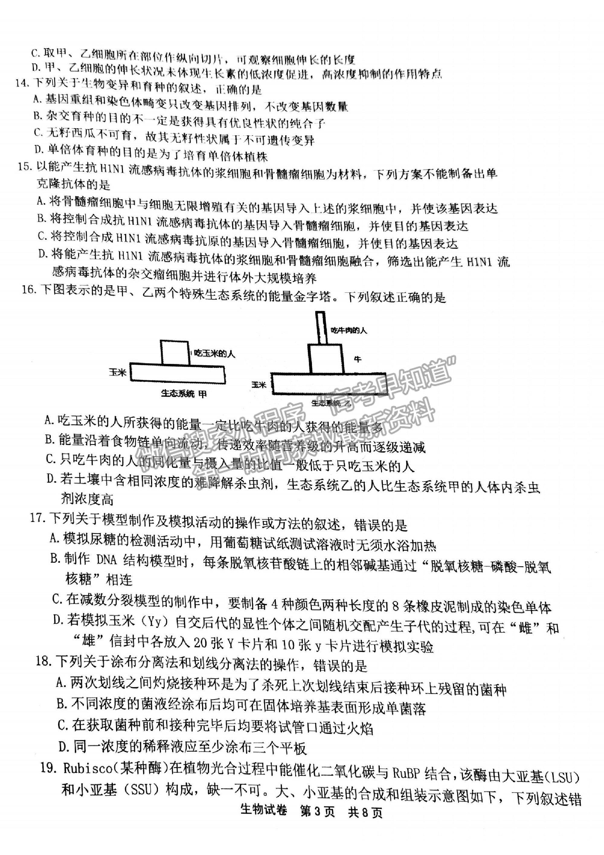 2021浙江省寧波市高三二模生物試卷及參考答案