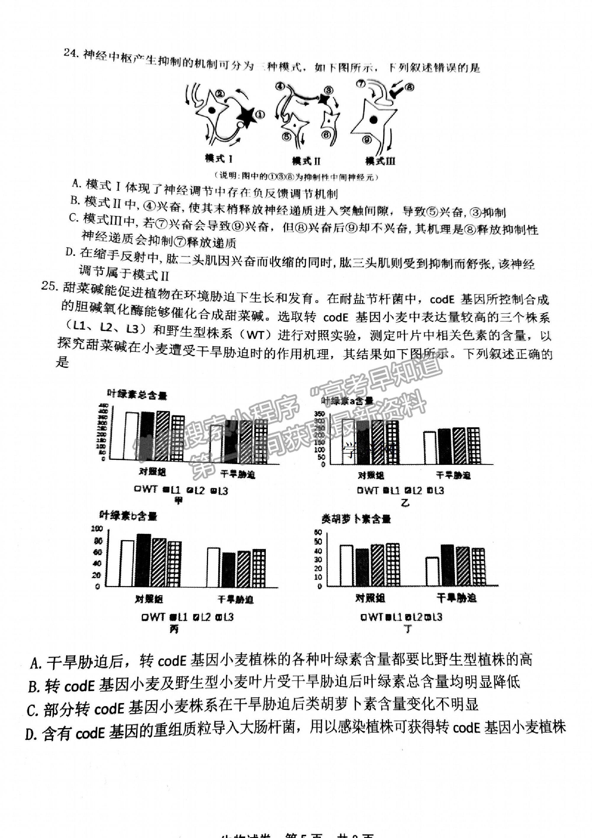 2021浙江省宁波市高三二模生物试卷及参考答案-福建高考信息平台