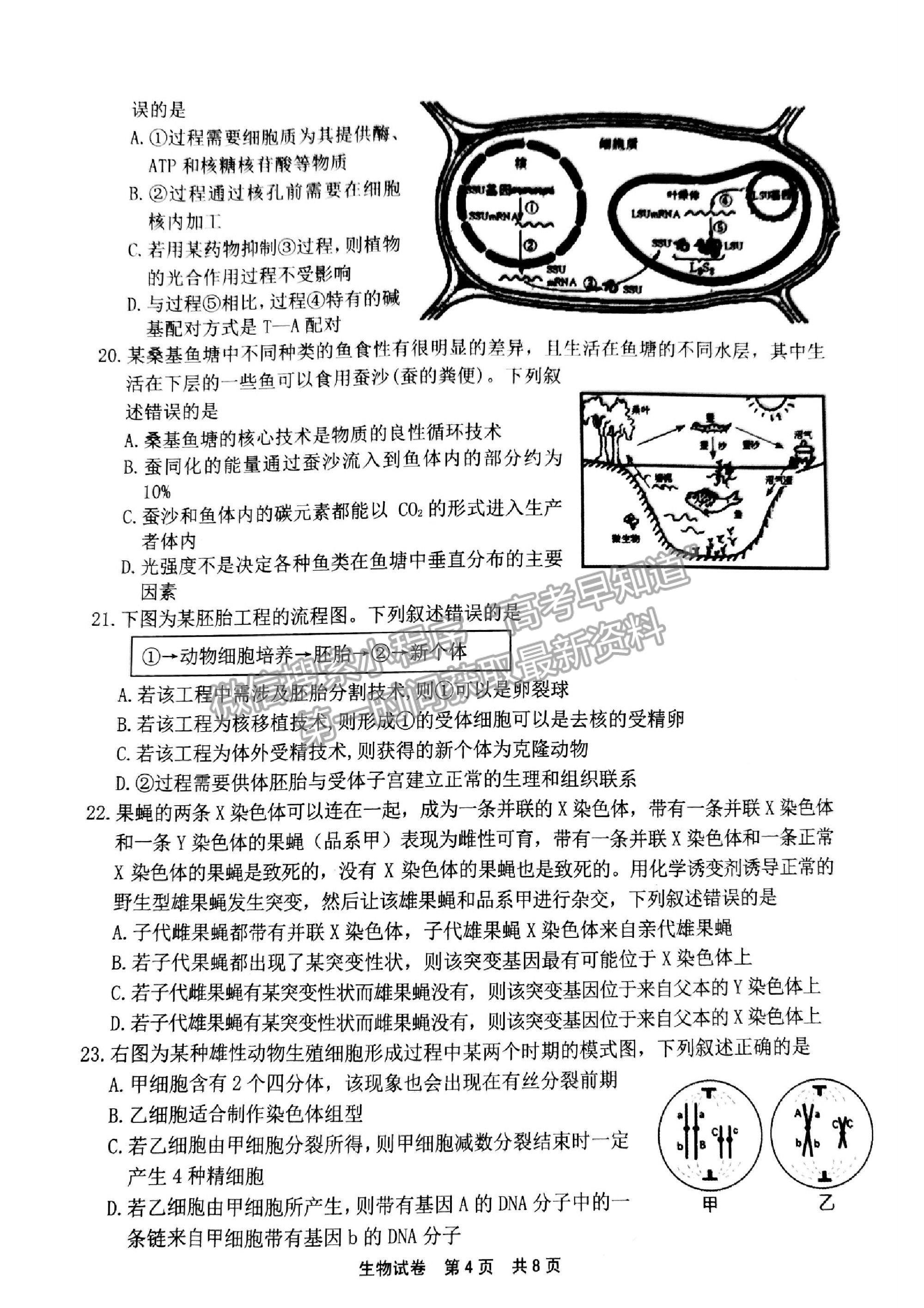 2021浙江省寧波市高三二模生物試卷及參考答案