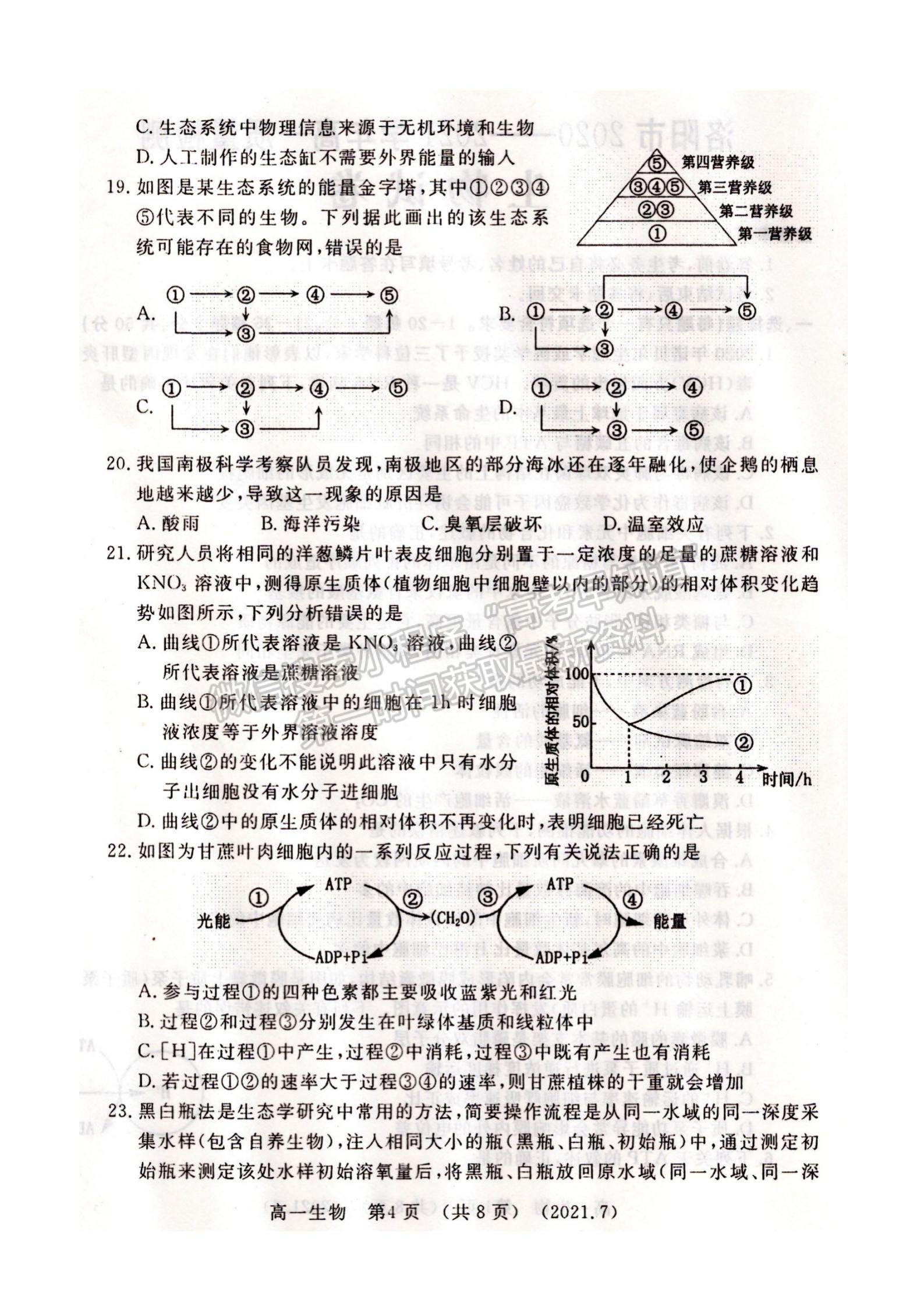 2021屆洛陽高一期末質量檢測生物試卷及答案