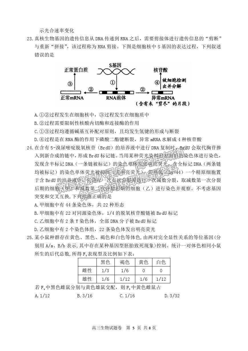 2021浙江省麗水、湖州、衢州高三4月教學(xué)質(zhì)量檢測（二模）生物試卷及參考答案