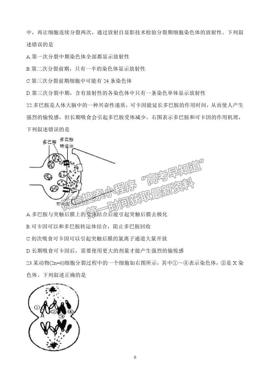 2021浙江省紹興市高三4月適應(yīng)性考試（二模）生物試卷及參考答案