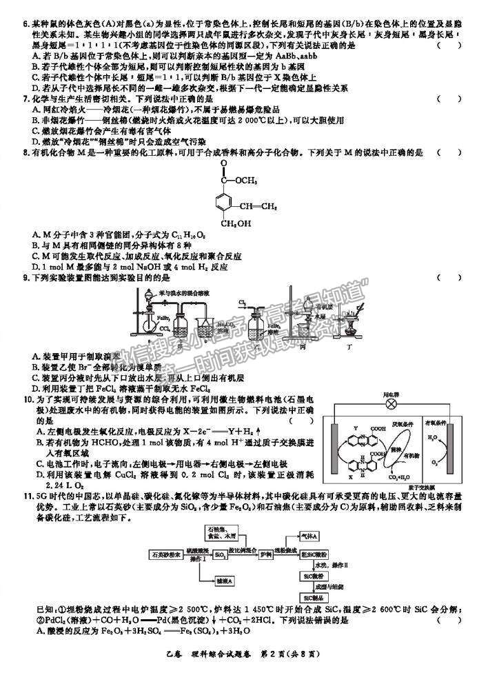 2021超級全能生全國卷高三4月聯(lián)考乙卷理綜試題及答案