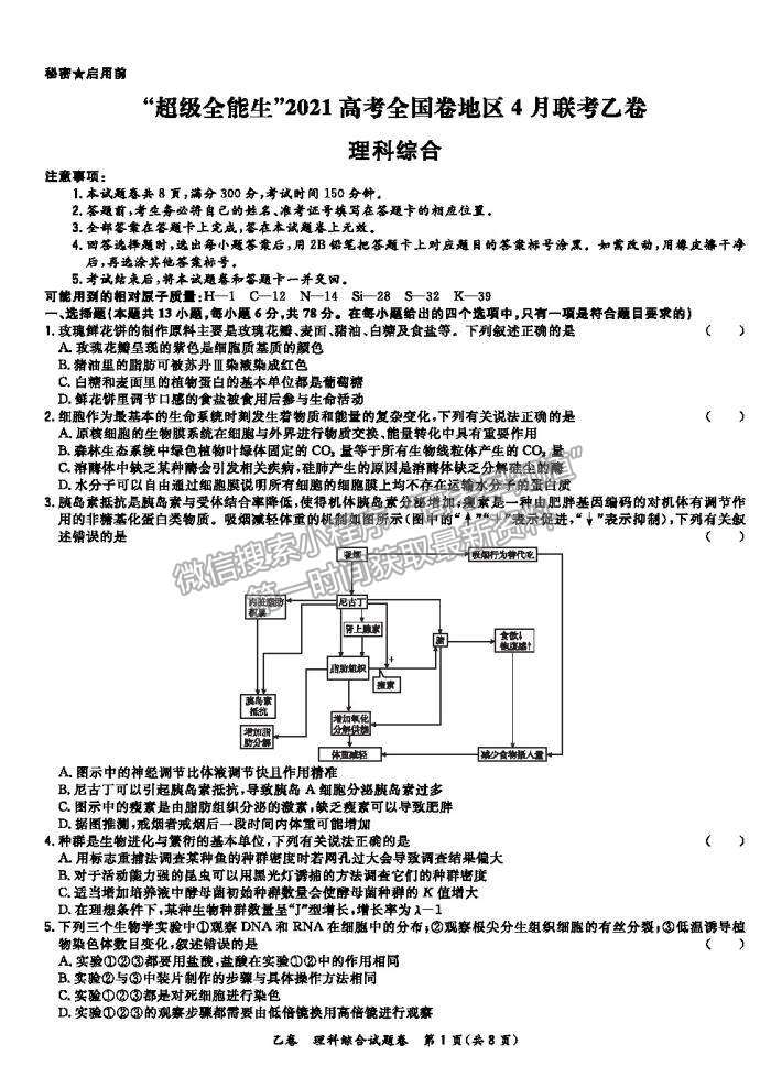 2021超級(jí)全能生全國卷高三4月聯(lián)考乙卷理綜試題及答案