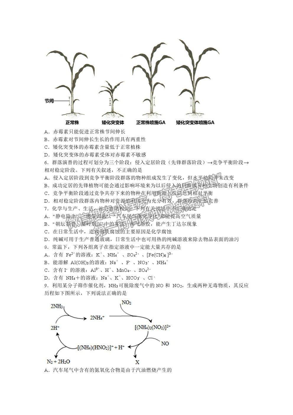 2021吉林省東北師范大學附中高三五模理綜試卷及答案