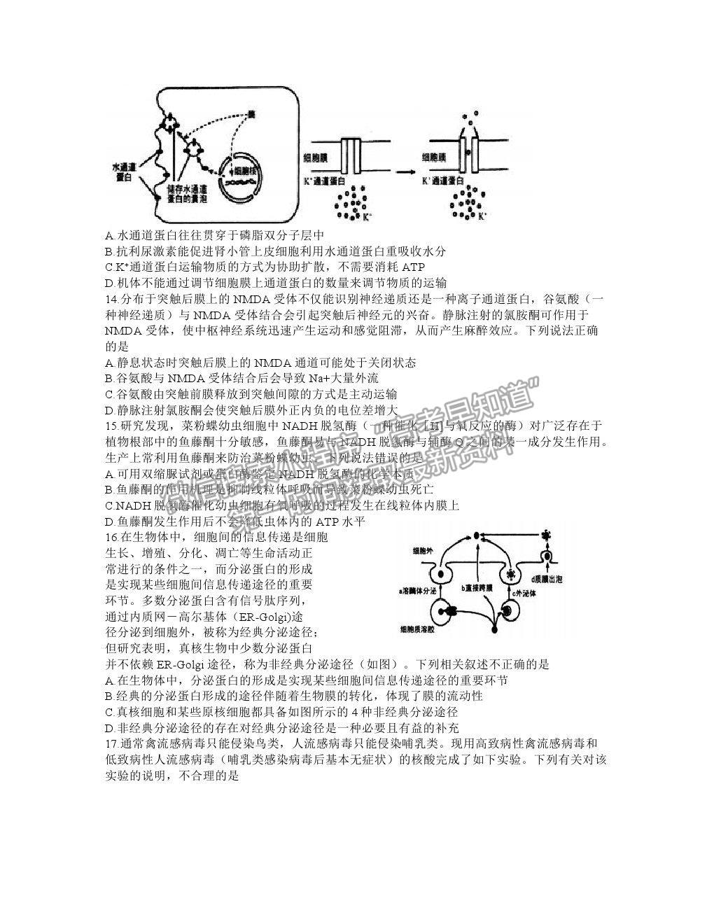 2021湖北省武漢市武昌區(qū)高三1月質(zhì)檢生物試卷及答案