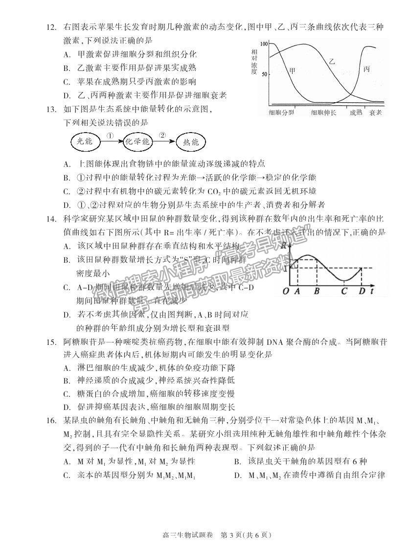 2021湖南省邵陽市新邵縣高三新高考適應性考試生物試卷及答案