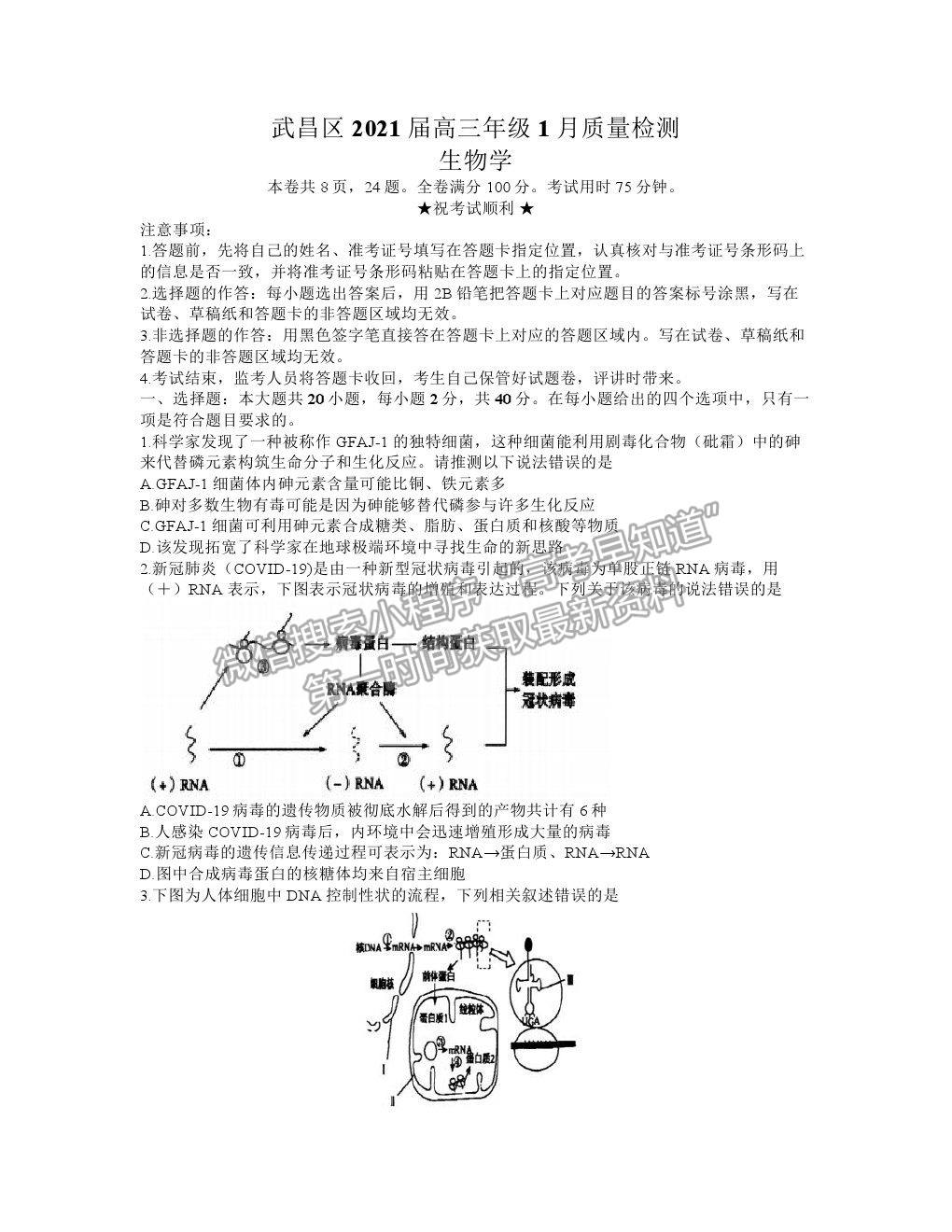 2021湖北省武漢市武昌區(qū)高三1月質(zhì)檢生物試卷及答案