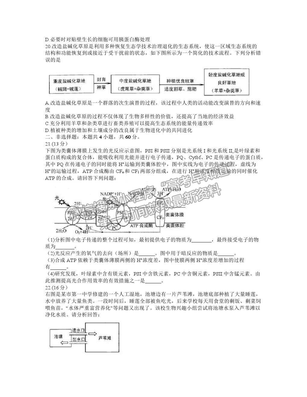 2021湖北省武漢市武昌區(qū)高三5月質(zhì)檢生物試卷及答案