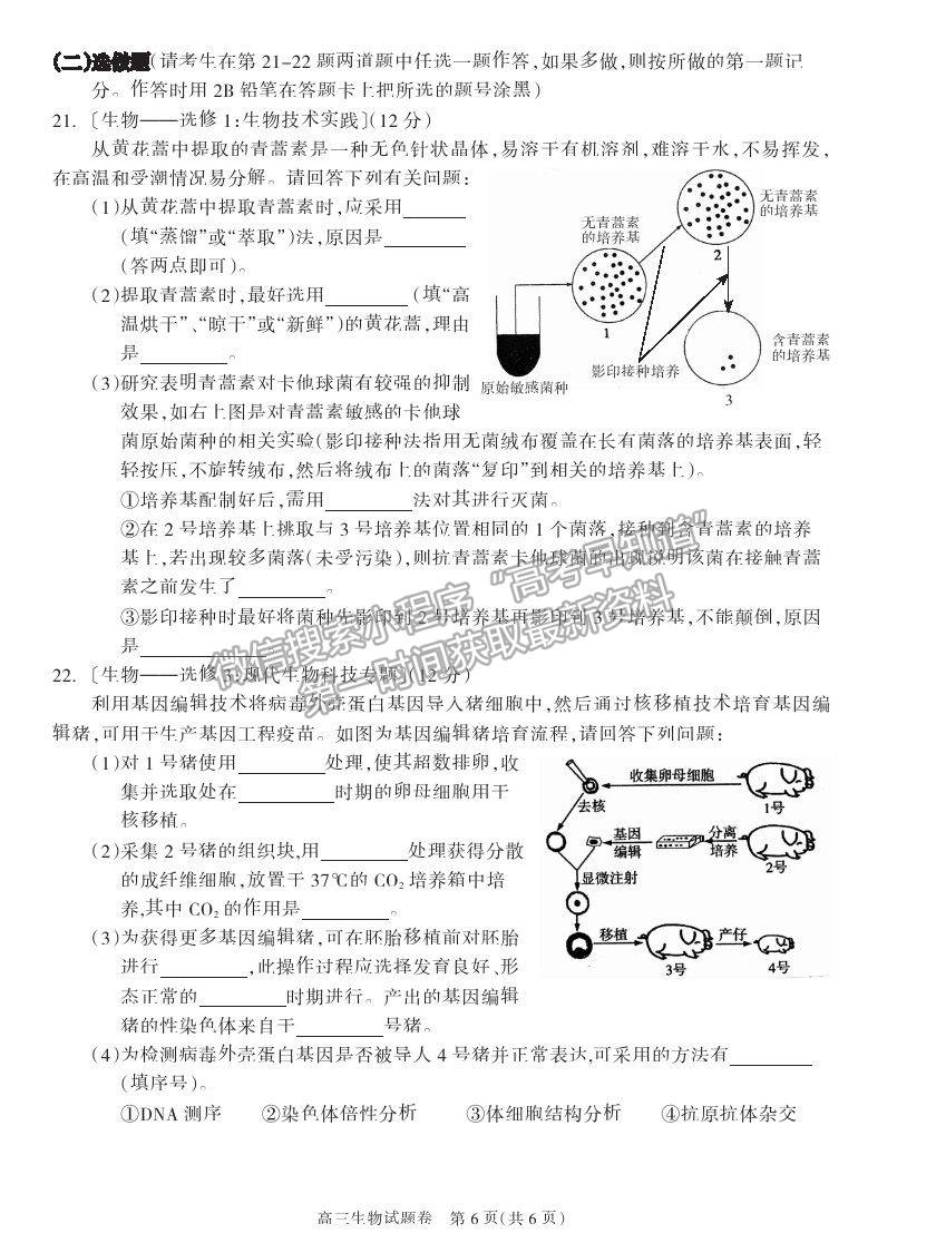 2021湖南省邵陽(yáng)市新邵縣高三新高考適應(yīng)性考試生物試卷及答案