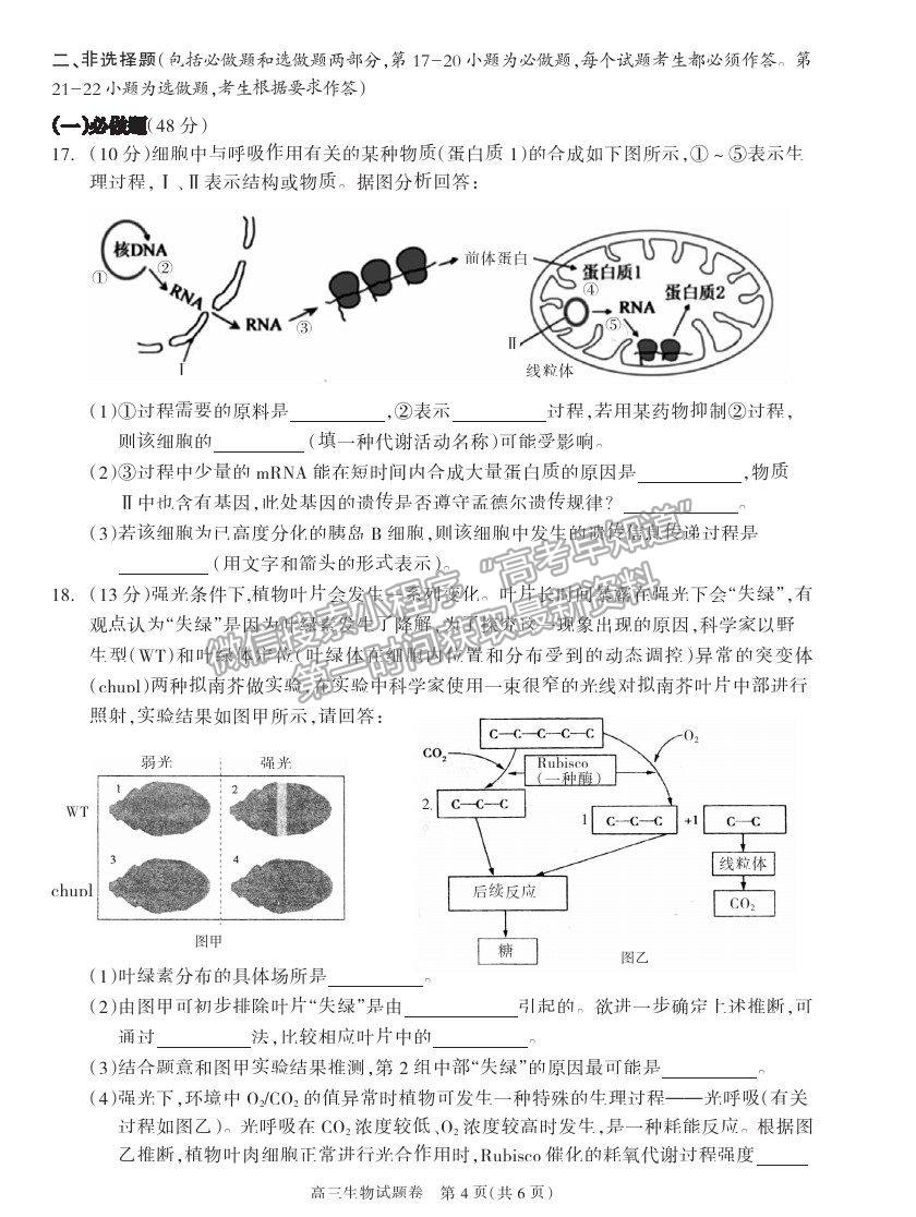 2021湖南省邵陽(yáng)市新邵縣高三新高考適應(yīng)性考試生物試卷及答案