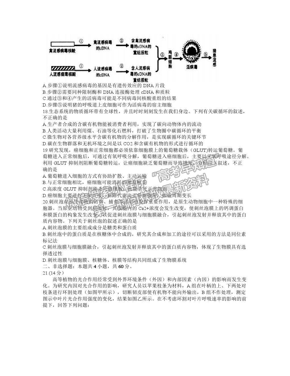 2021湖北省武漢市武昌區(qū)高三1月質(zhì)檢生物試卷及答案