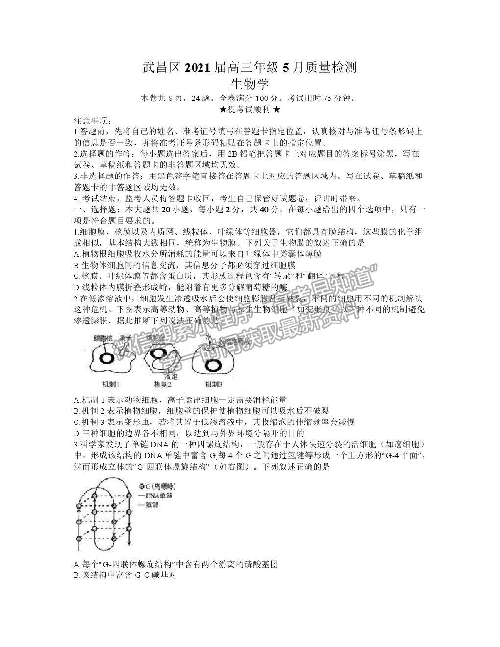 2021湖北省武漢市武昌區(qū)高三5月質(zhì)檢生物試卷及答案