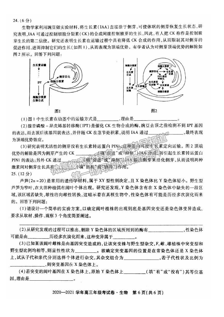 2021安徽省池州市高三上學(xué)期12月大聯(lián)考生物試卷及答案