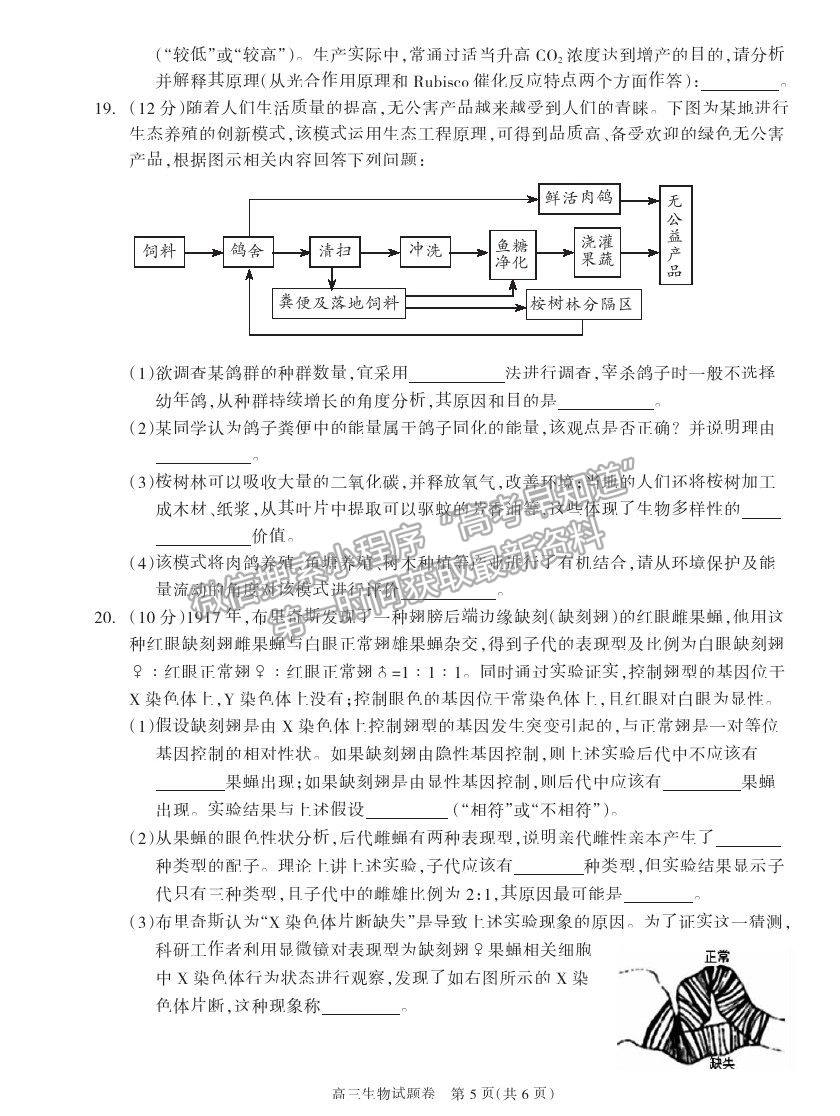 2021湖南省邵陽市新邵縣高三新高考適應(yīng)性考試生物試卷及答案