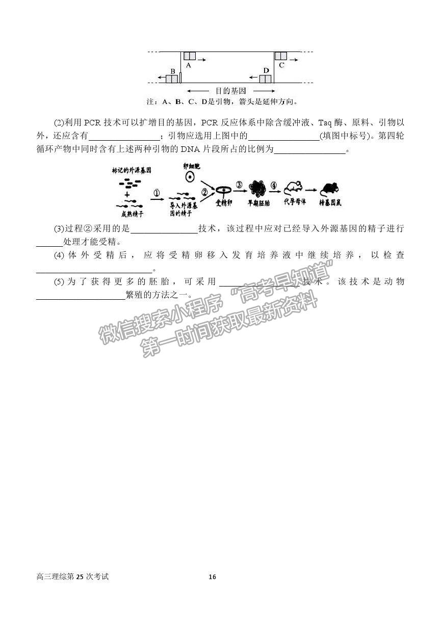 2021河南省南陽(yáng)一中高三第二十五次檢測(cè)理綜試卷及答案