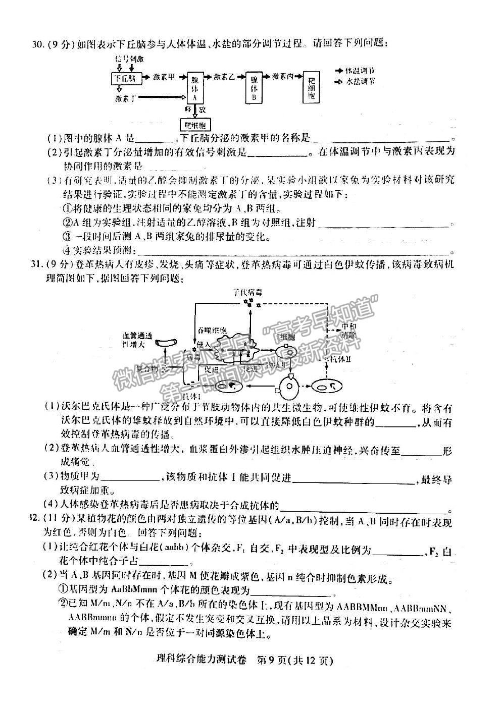 2021東北三省三校四模理綜試題及參考答案