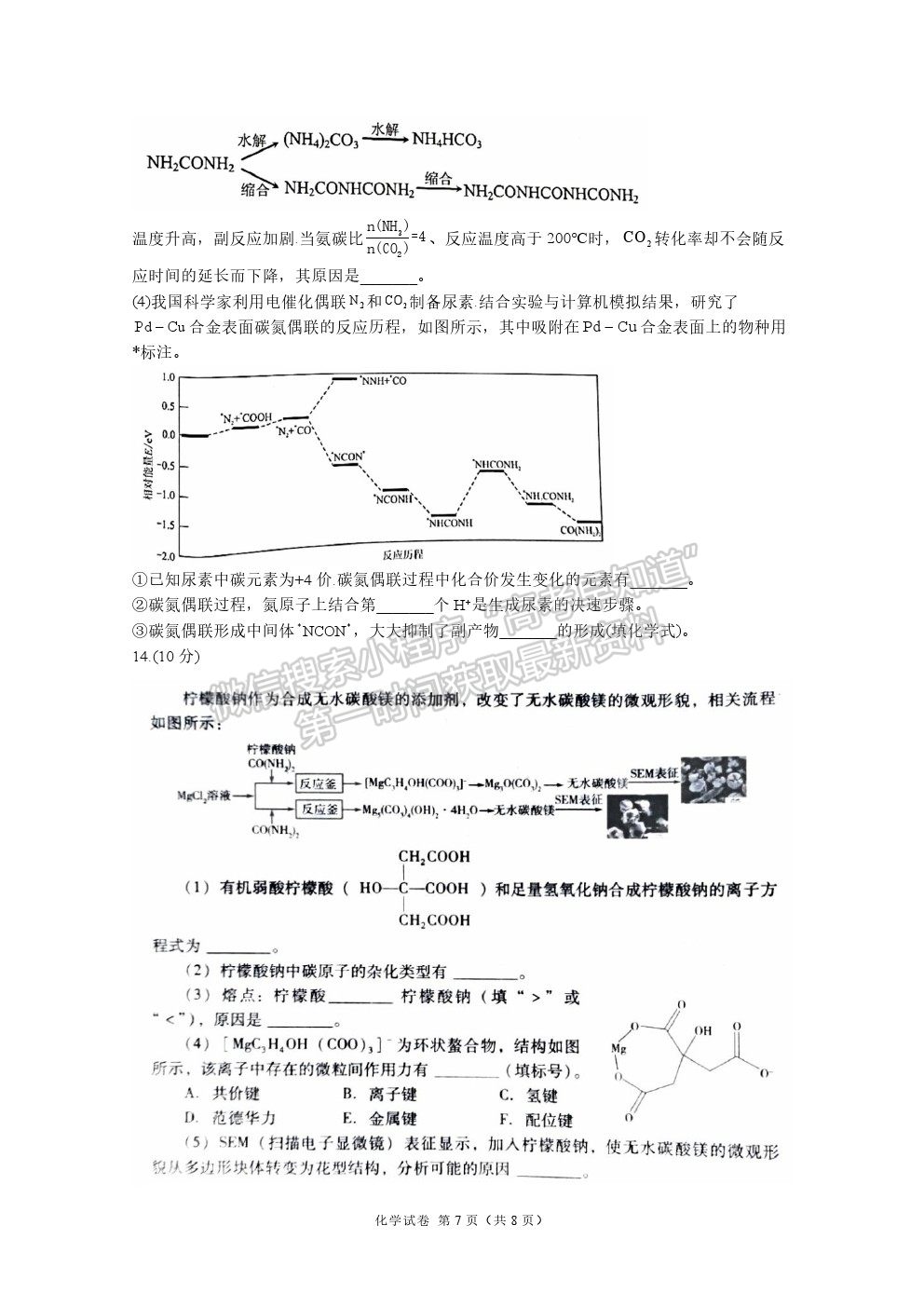 2021福建名校聯(lián)盟優(yōu)質(zhì)校高三聯(lián)考化學(xué)試題及參考答案