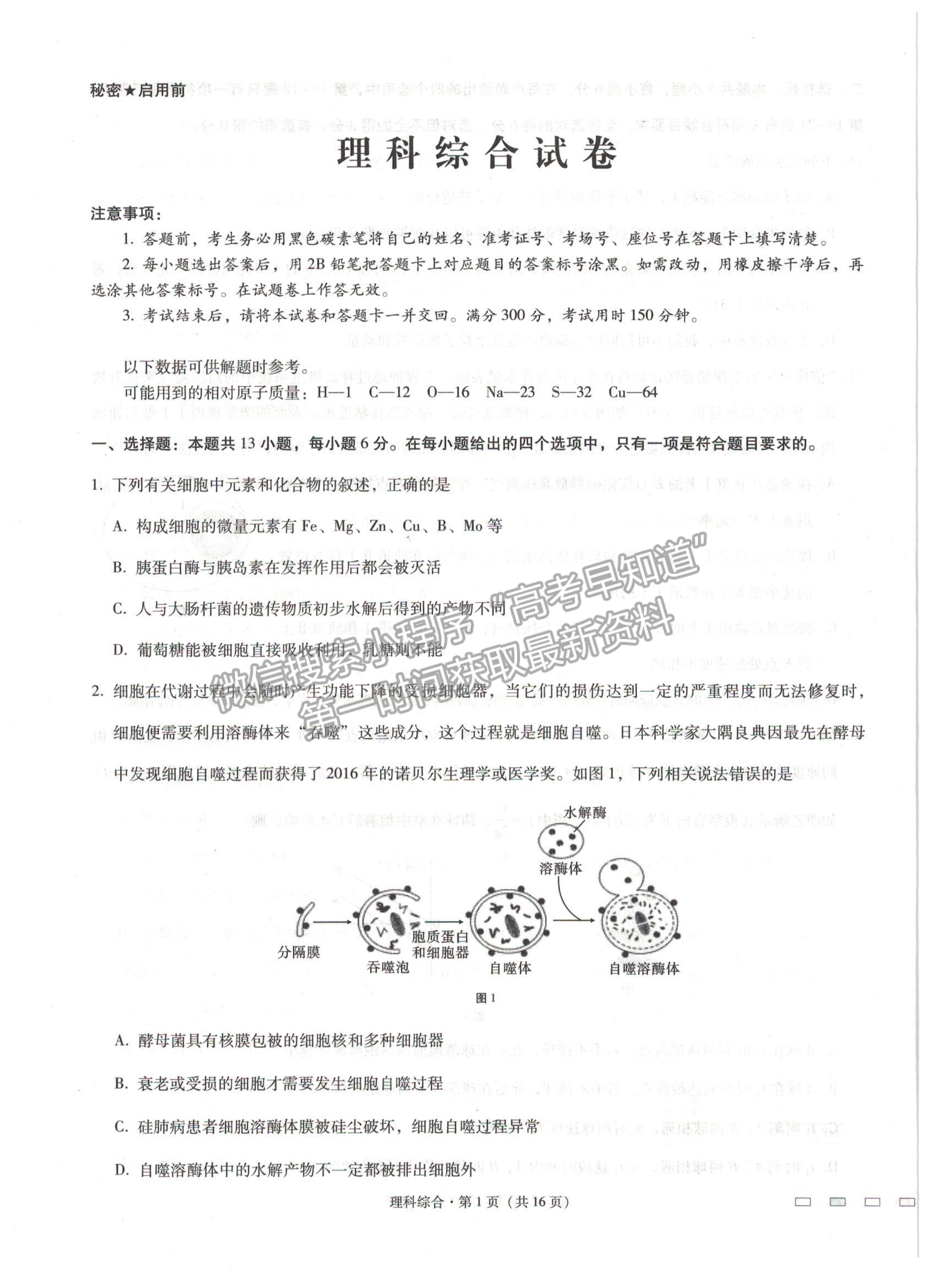 2021貴陽一中高考適應(yīng)性月考（五）理綜試題及參考答案