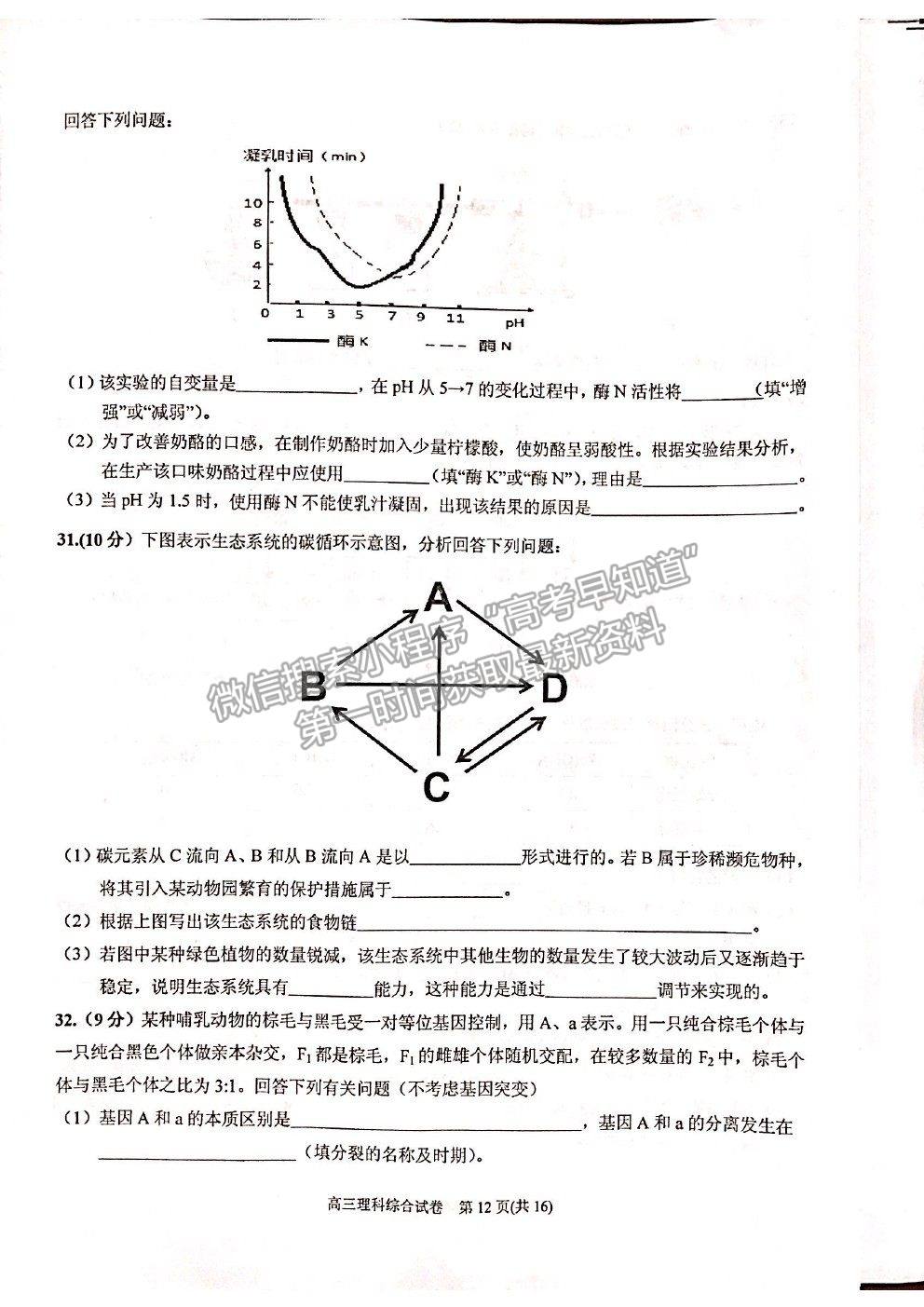 2021貴州省凱里一中高三模擬考試《黃金三卷》理綜試題及參考答案