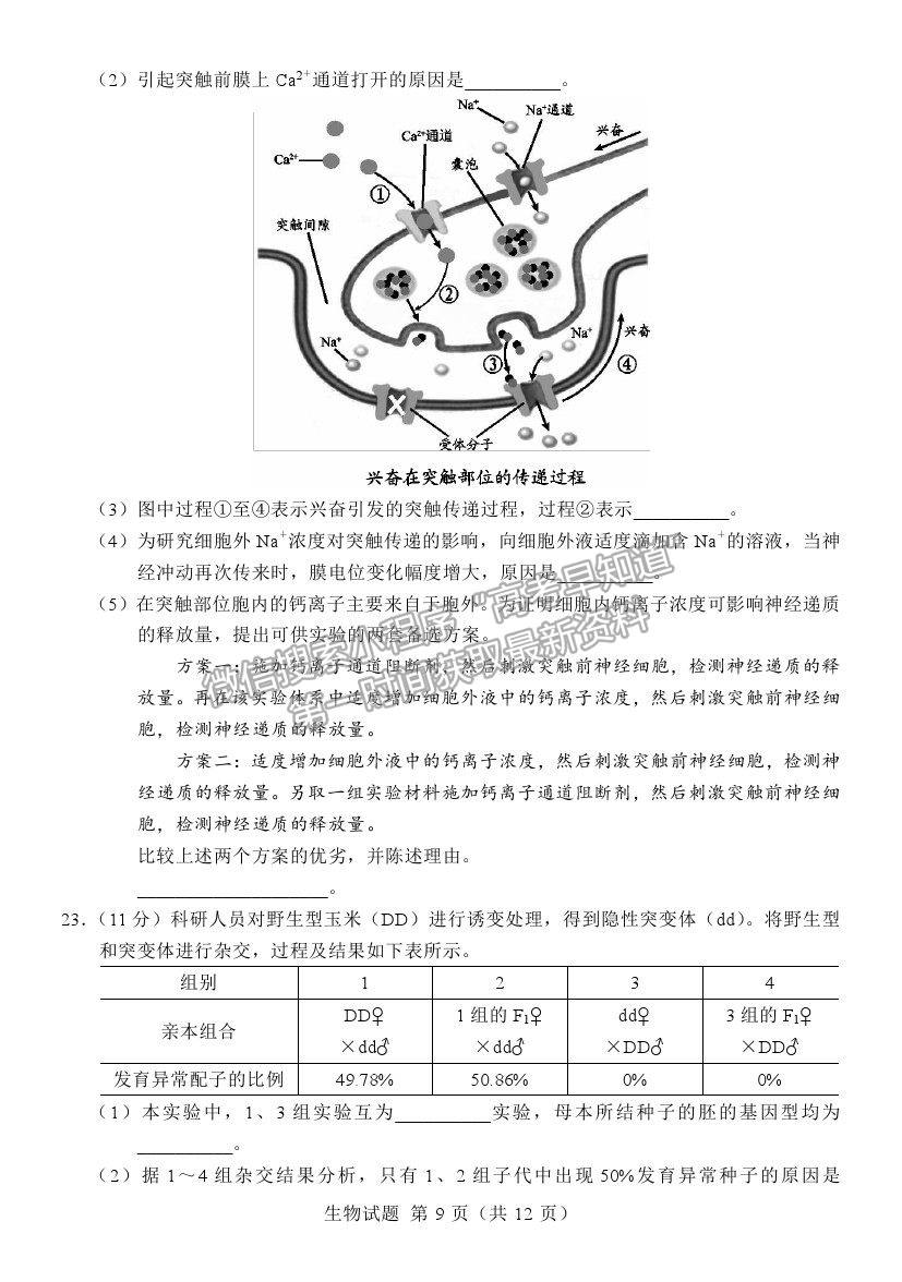 2021江蘇省六校聯(lián)合高三第四次適應(yīng)性考試生物試題及參考答案