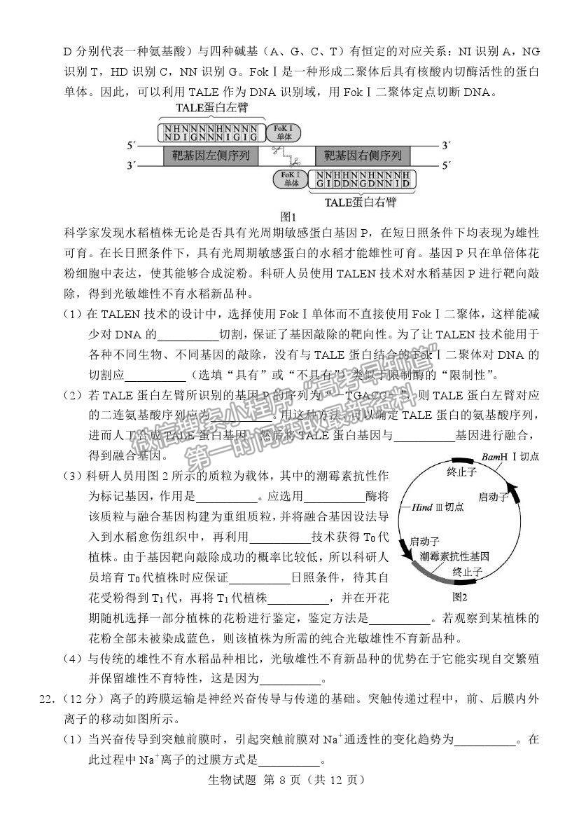 2021江蘇省六校聯(lián)合高三第四次適應(yīng)性考試生物試題及參考答案