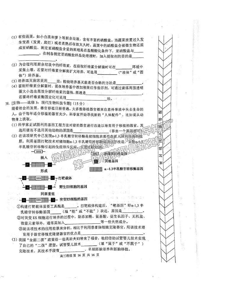 2021內(nèi)蒙古赤峰市高三4.20模擬考試理綜試題及參考答案