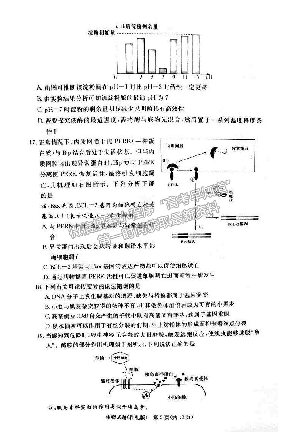 2021湖南省雅禮中學(xué)高三第5次月考生物試題及參考答案