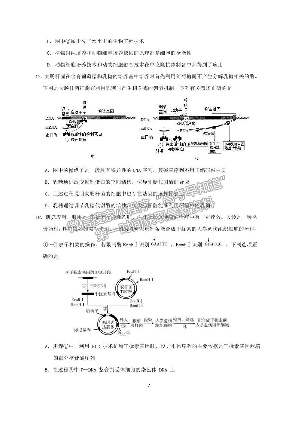 2021江蘇省連云港市高三考前模擬（一）生物試題及答案