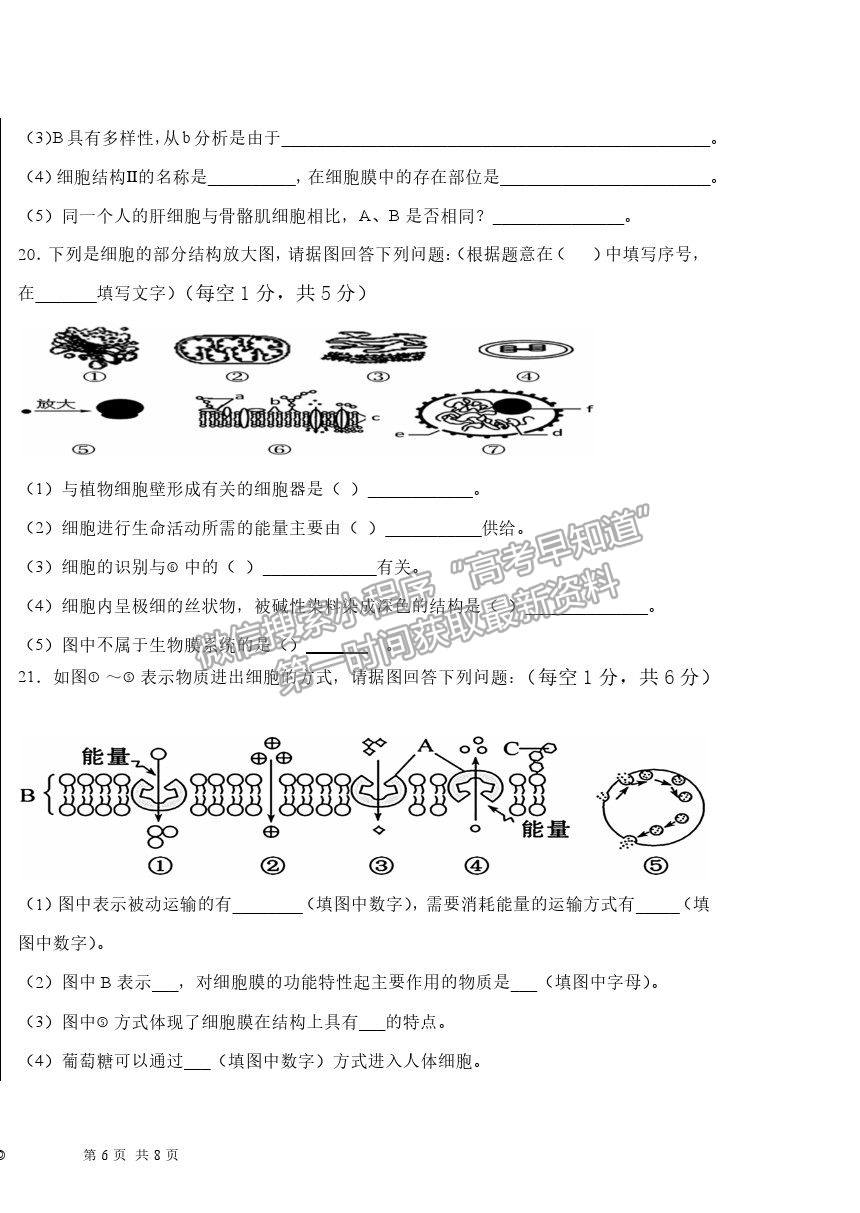 2022河北深州長(zhǎng)江中學(xué)高三第一次月考生物試題及參考答案