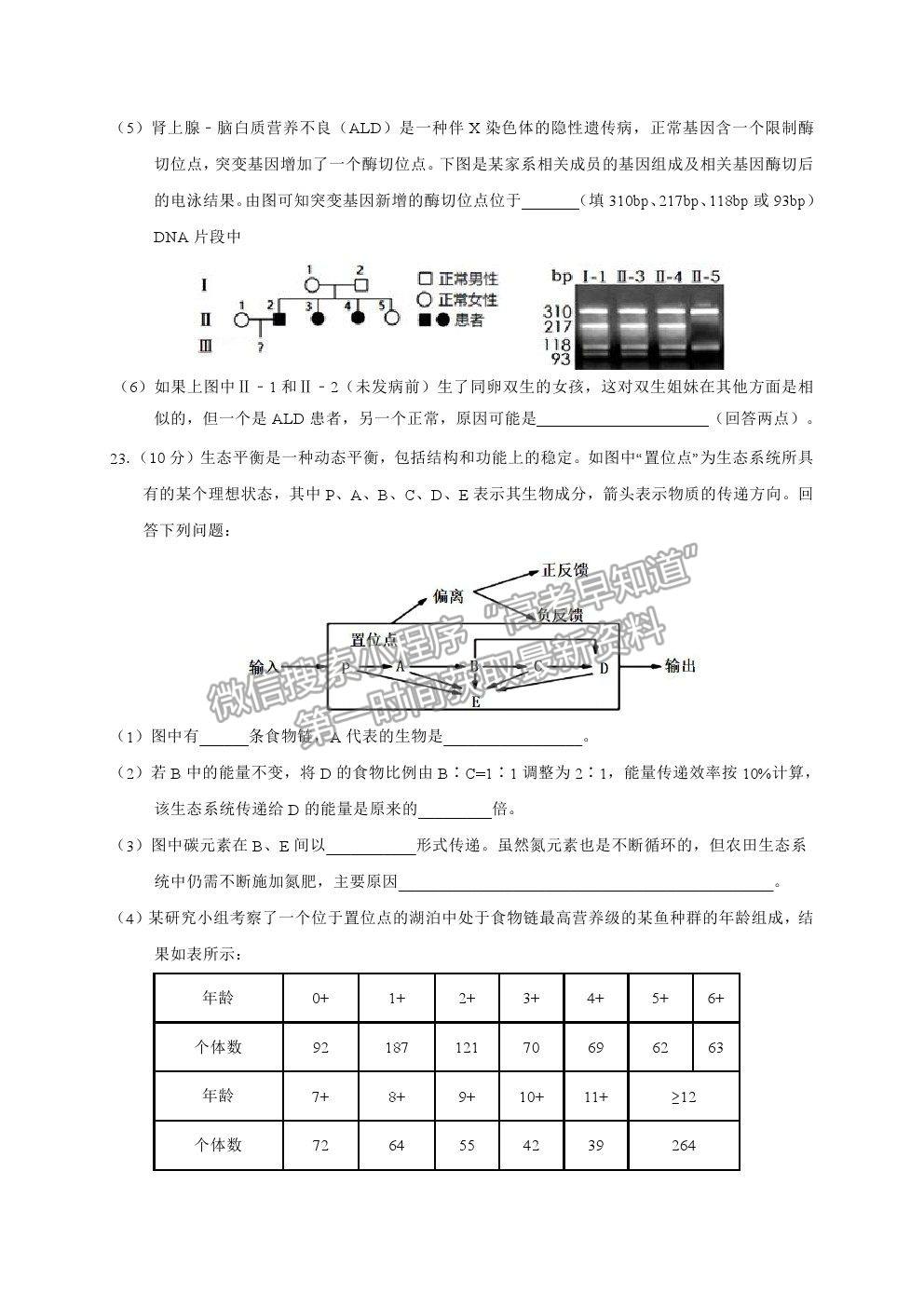 2021江蘇省連云港市高三考前模擬（二）生物試題及答案