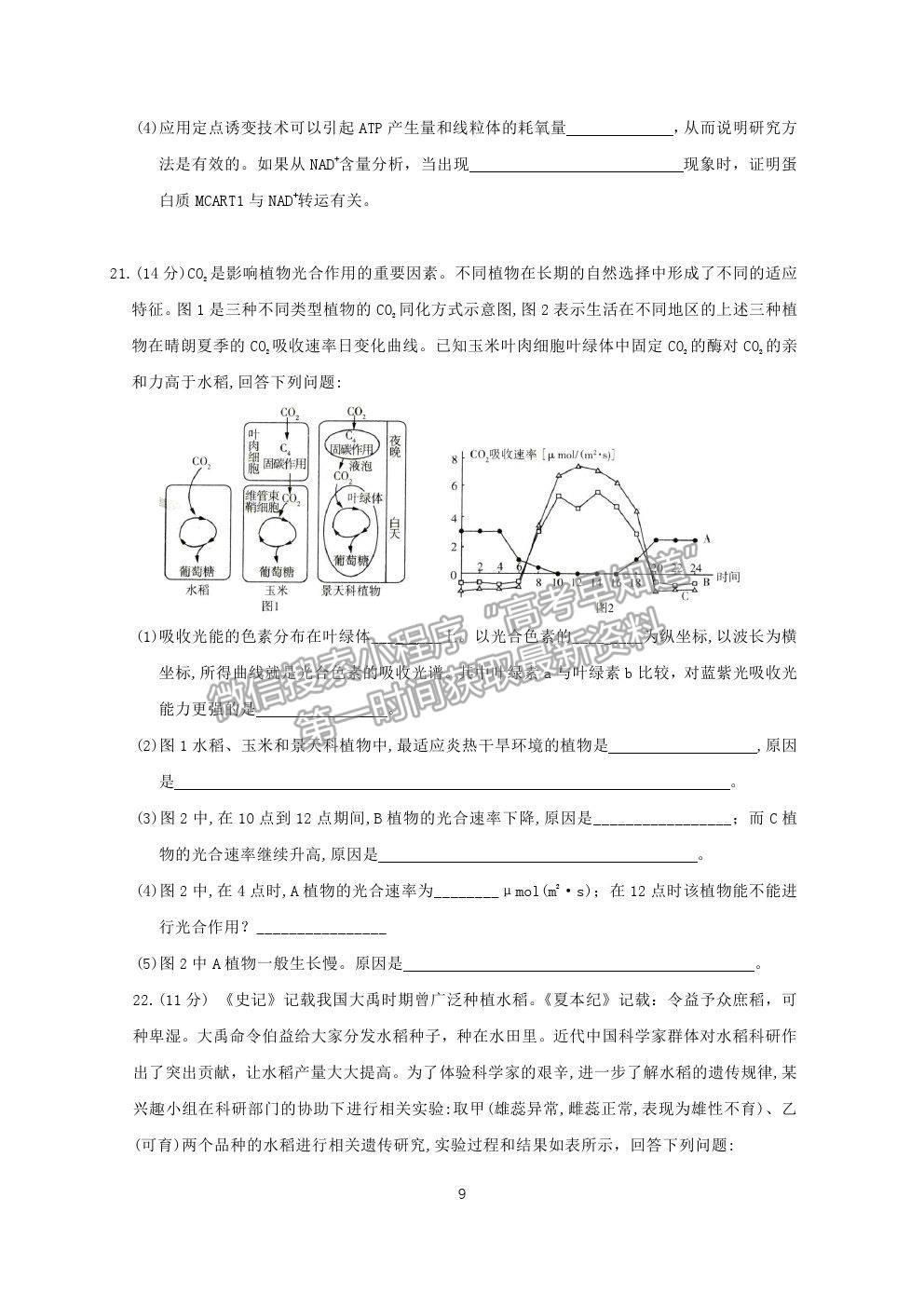 2021江蘇省連云港市高三考前模擬（一）生物試題及答案