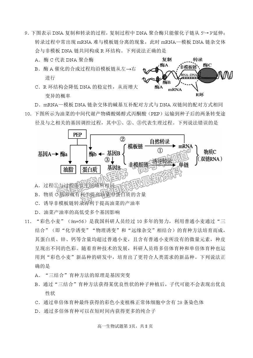 2021山東省威海市高一下學(xué)期期末考試生物試題及參考答案