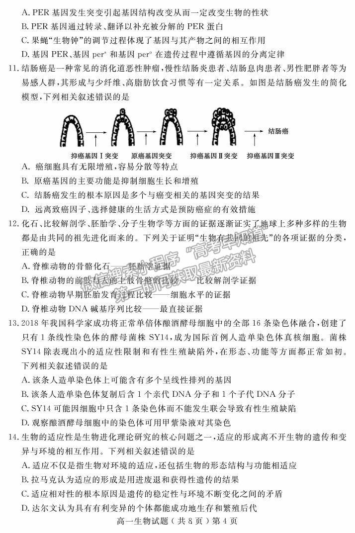 2021山東省聊城市高一下學(xué)期期末考試生物試題及參考答案