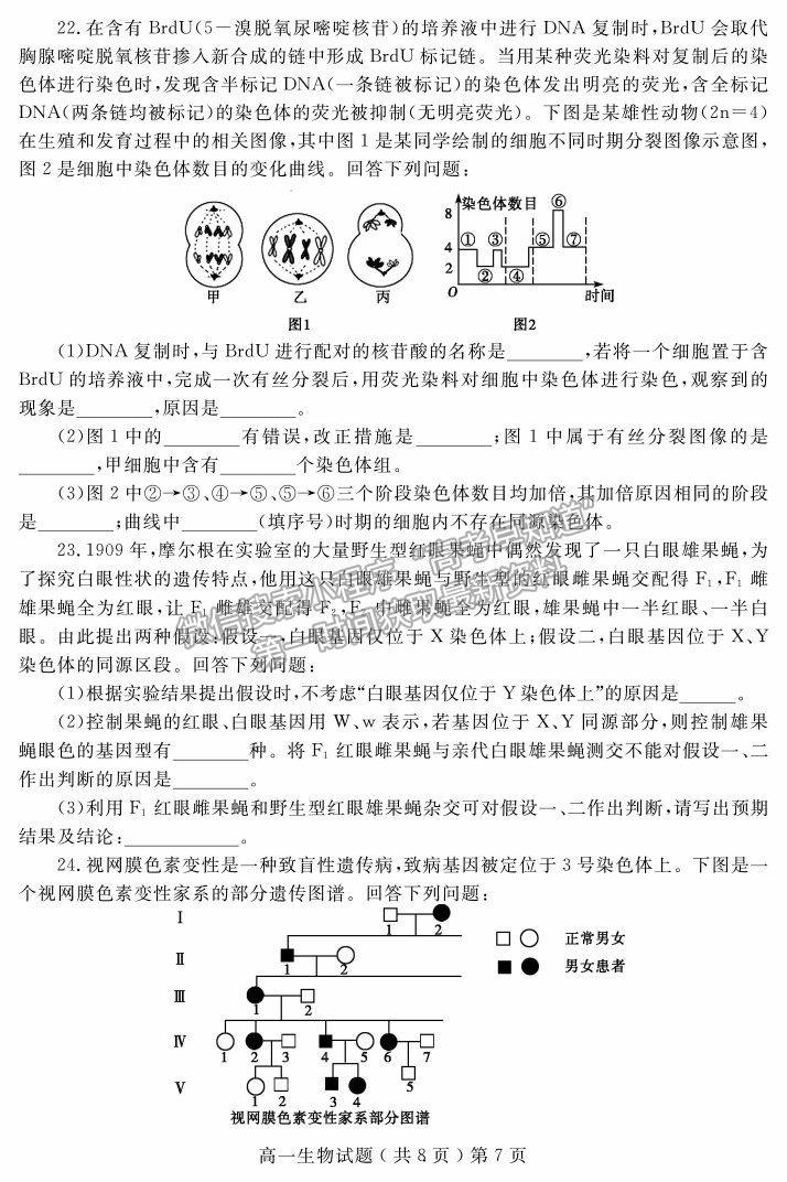 2021山東省聊城市高一下學(xué)期期末考試生物試題及參考答案