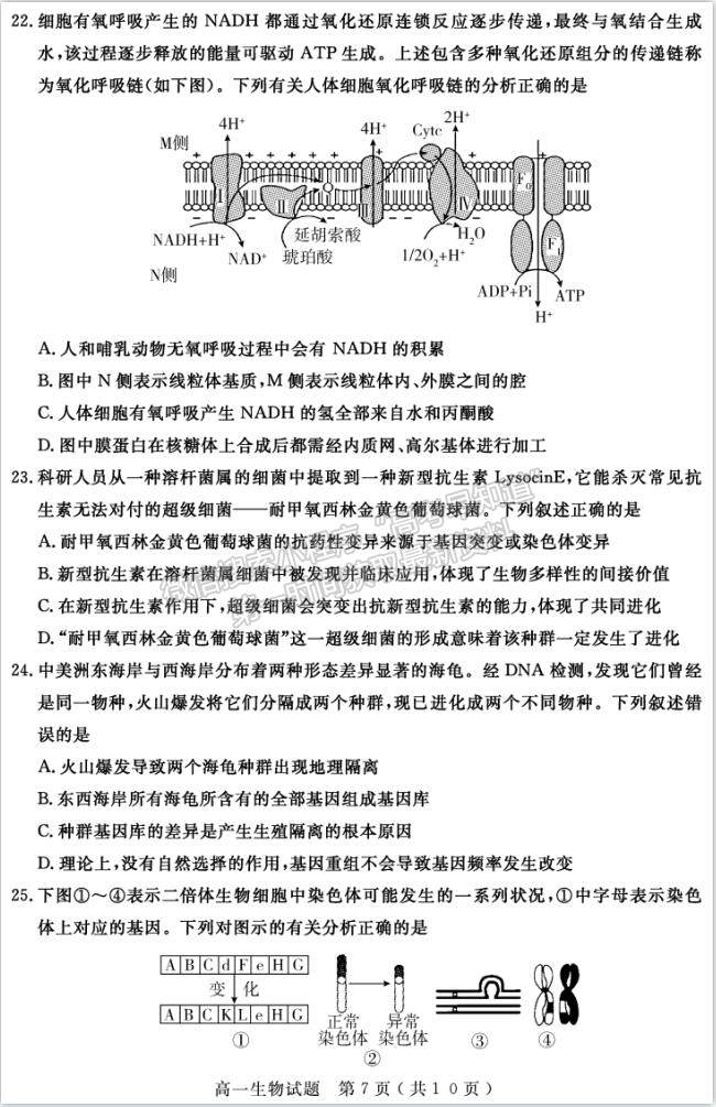 2021濟寧市高一下學(xué)期期末考試生物試題及參考答案