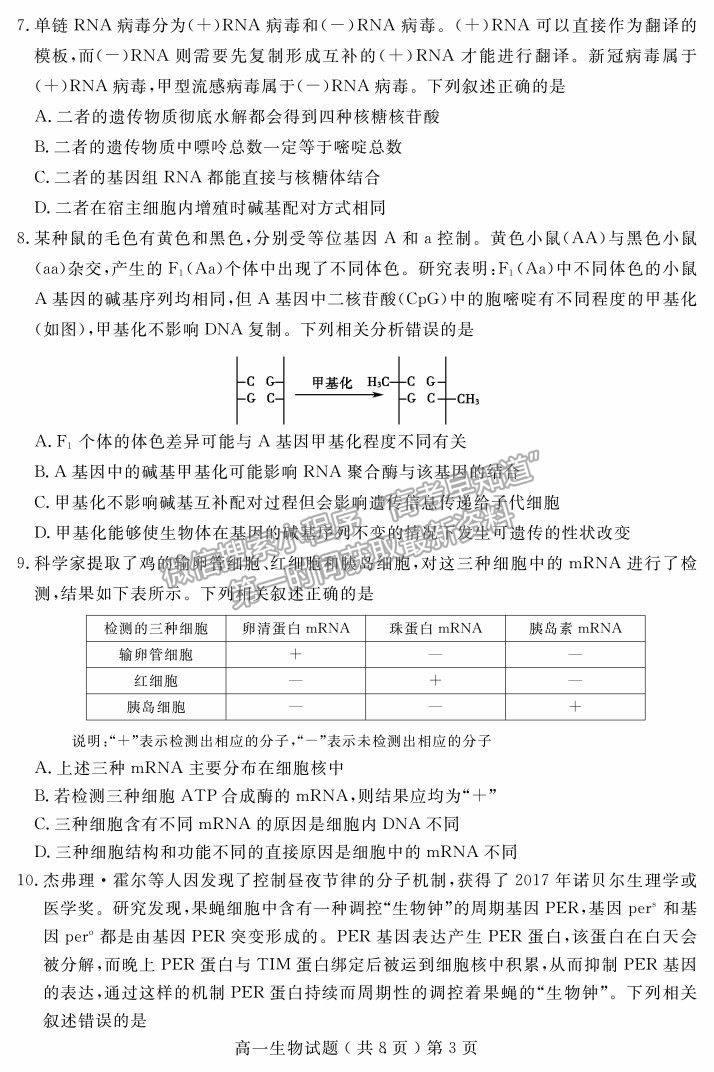 2021山東省聊城市高一下學期期末考試生物試題及參考答案