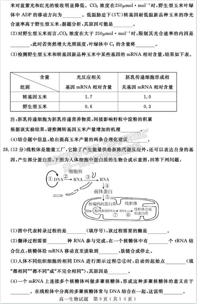 2021濟寧市高一下學(xué)期期末考試生物試題及參考答案