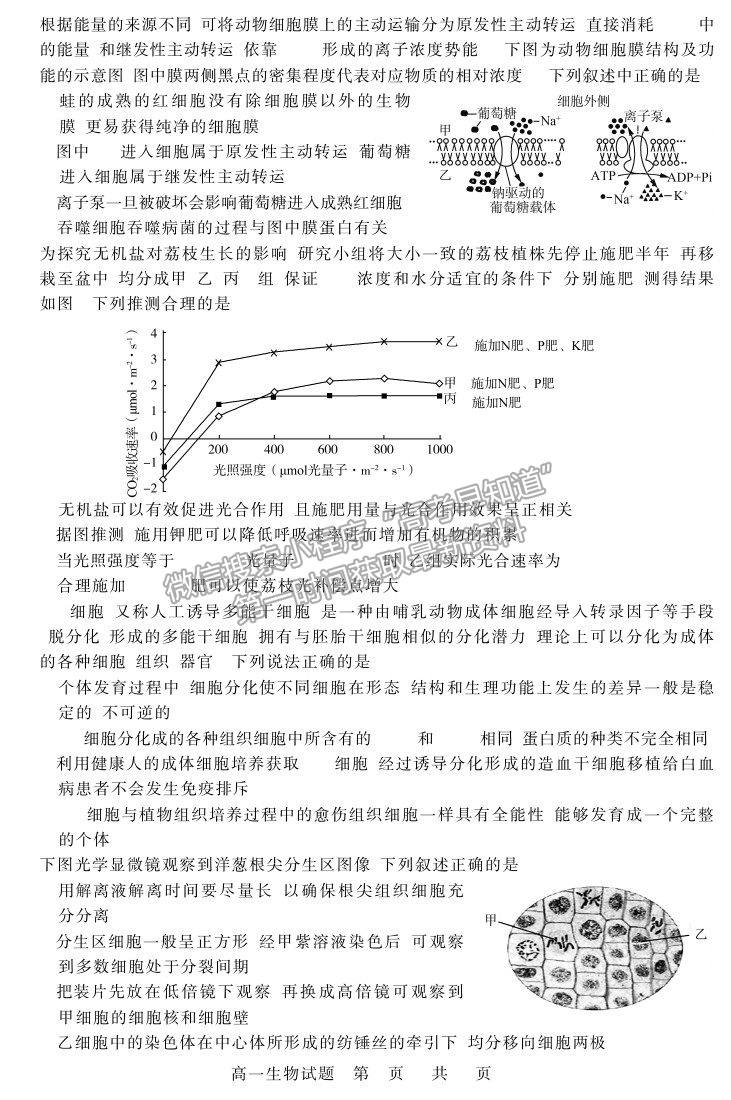 2021山東省濟(jì)南市高一下學(xué)期期末考試生物試題及參考答案