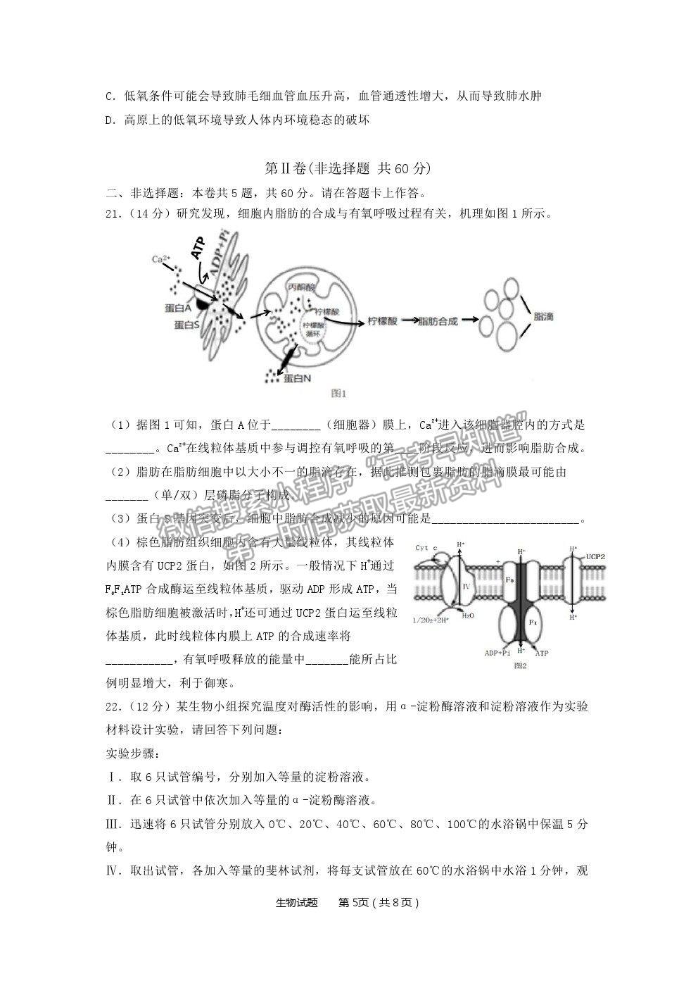 2022重慶市南開中學(xué)高三7月月考生物試題及參考答案