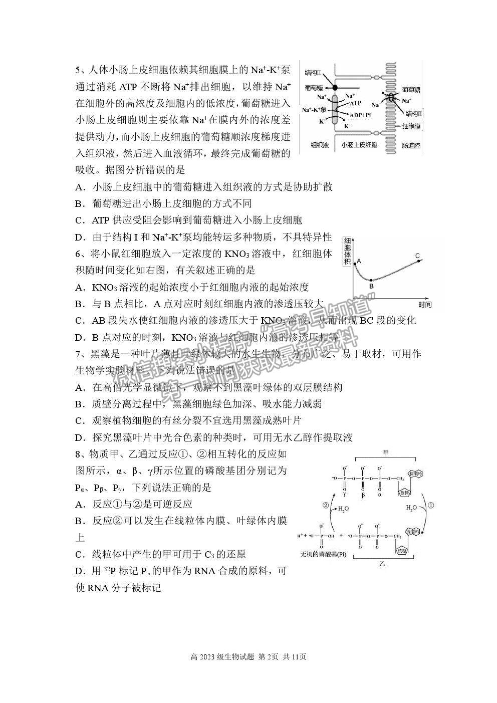 2021重慶市南開中學(xué)高一下學(xué)期期中考試生物試題及參考答案