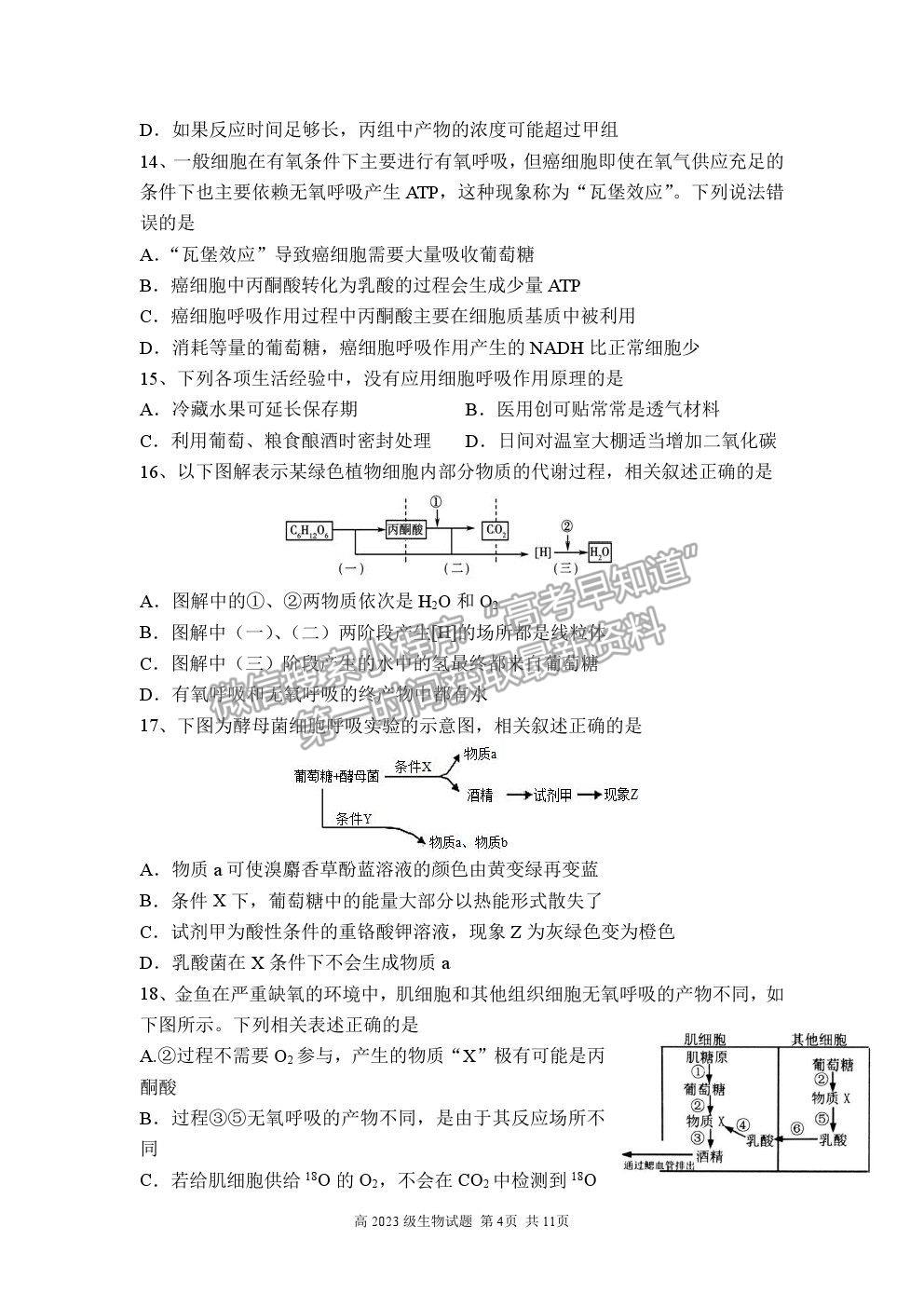 2021重慶市南開中學高一下學期期中考試生物試題及參考答案