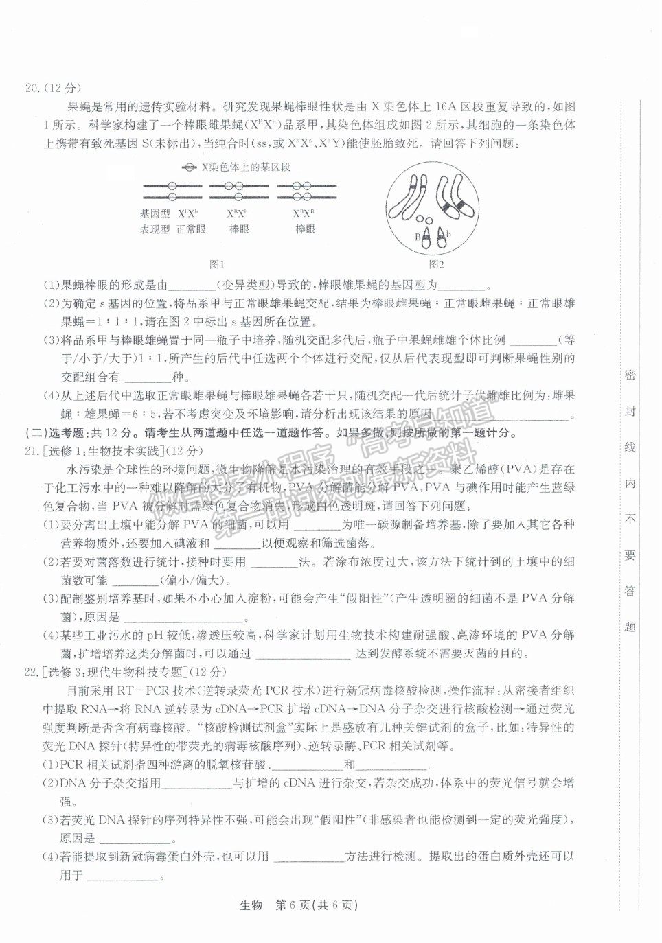 2022廣東省高三8月階段性質(zhì)量檢測生物試題及參考答案