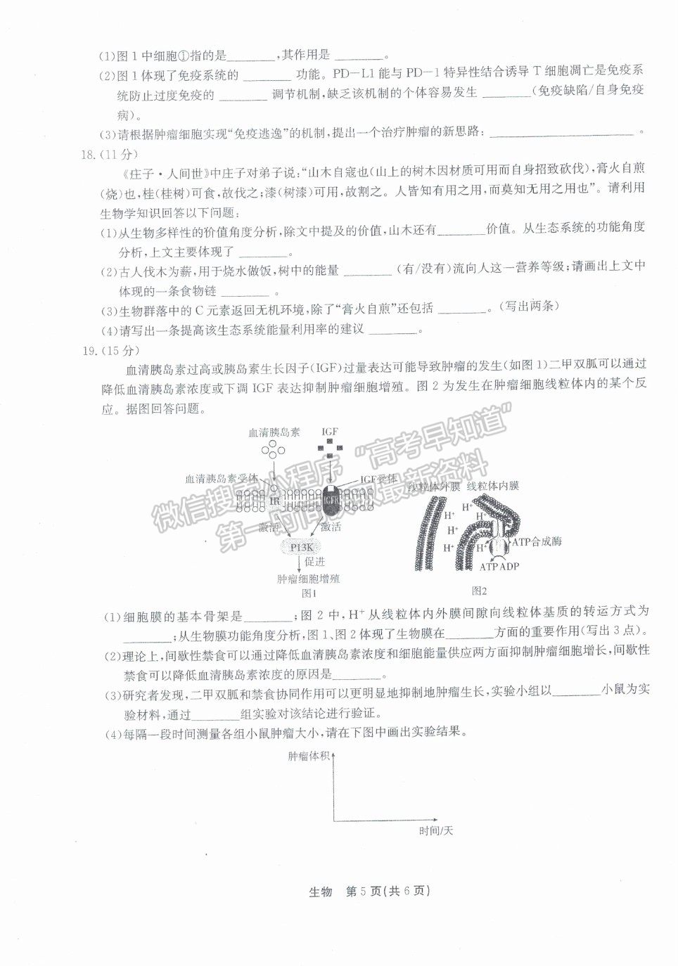 2022廣東省高三8月階段性質(zhì)量檢測生物試題及參考答案