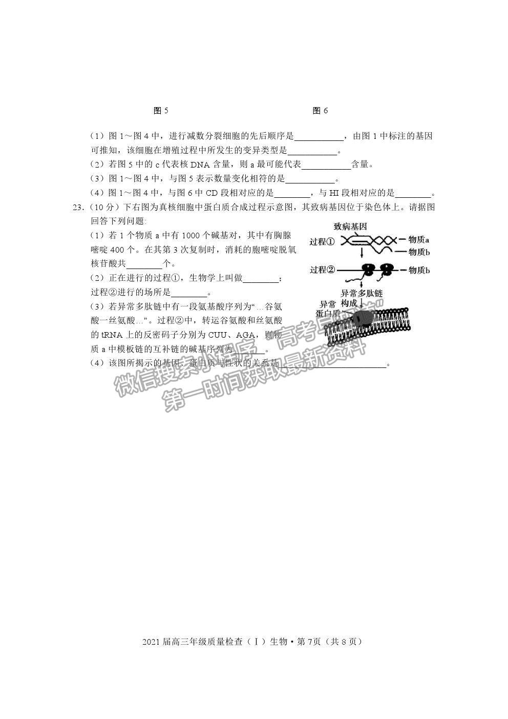 2021湖北省荊州市高三上學(xué)期質(zhì)檢（Ⅰ）生物試題及參考答案