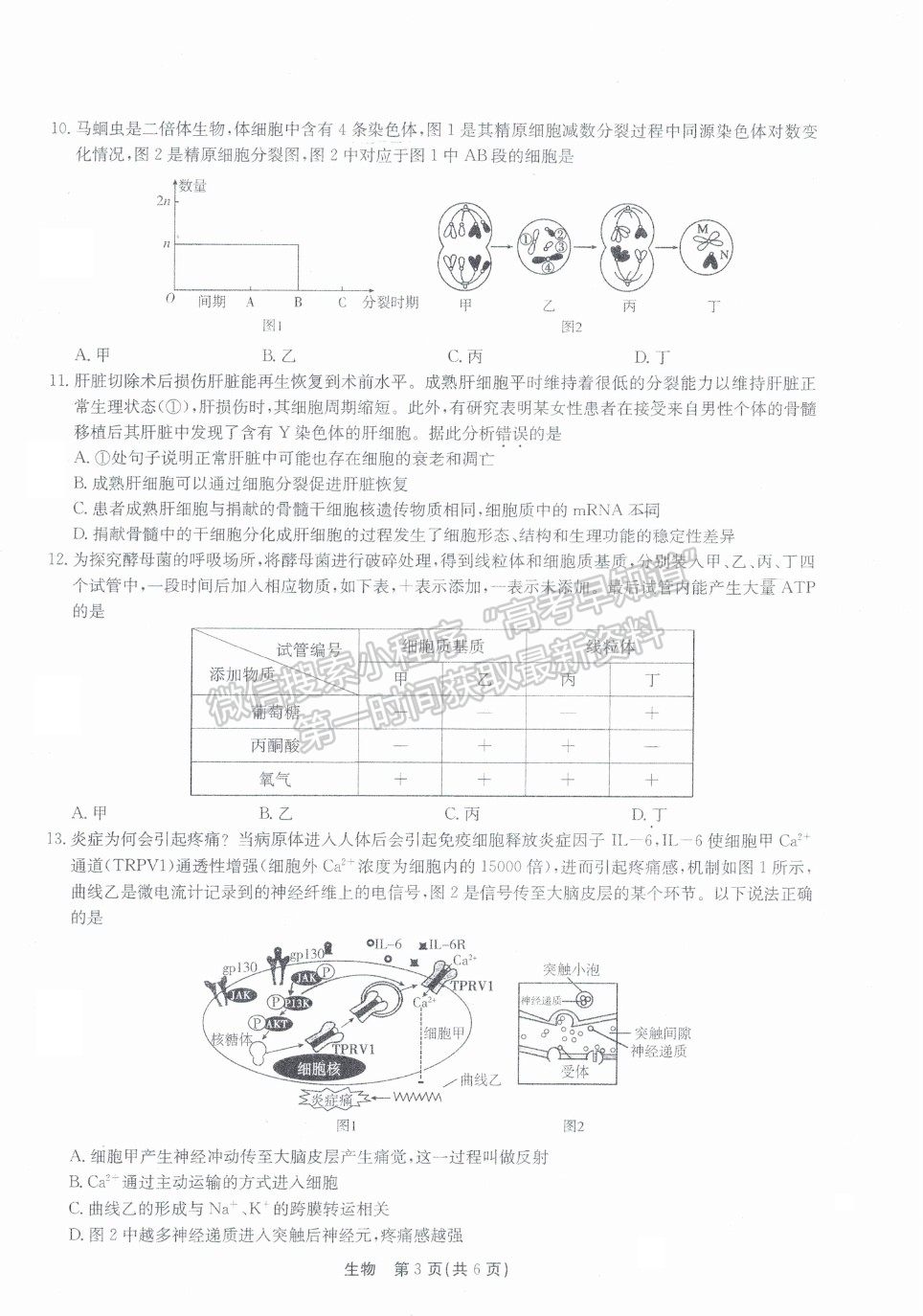 2022廣東省高三8月階段性質(zhì)量檢測生物試題及參考答案