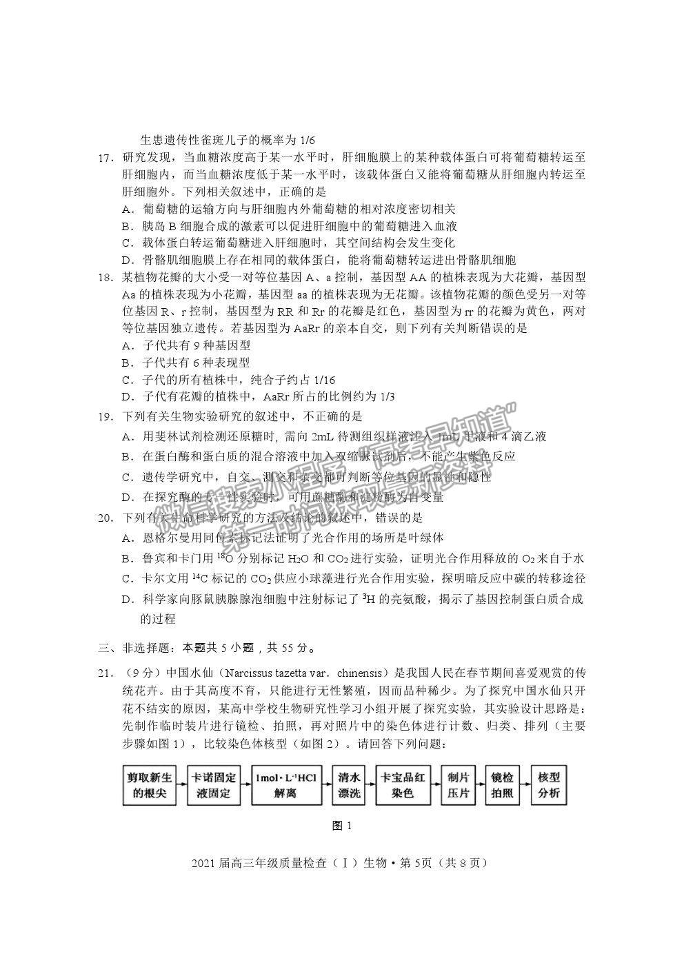 2021湖北省荊州市高三上學(xué)期質(zhì)檢（Ⅰ）生物試題及參考答案