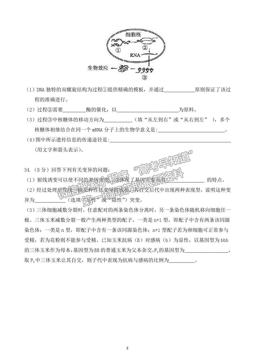 2021安徽省六安市新安中學(xué)高一下學(xué)期期末考生物試題及參考答案