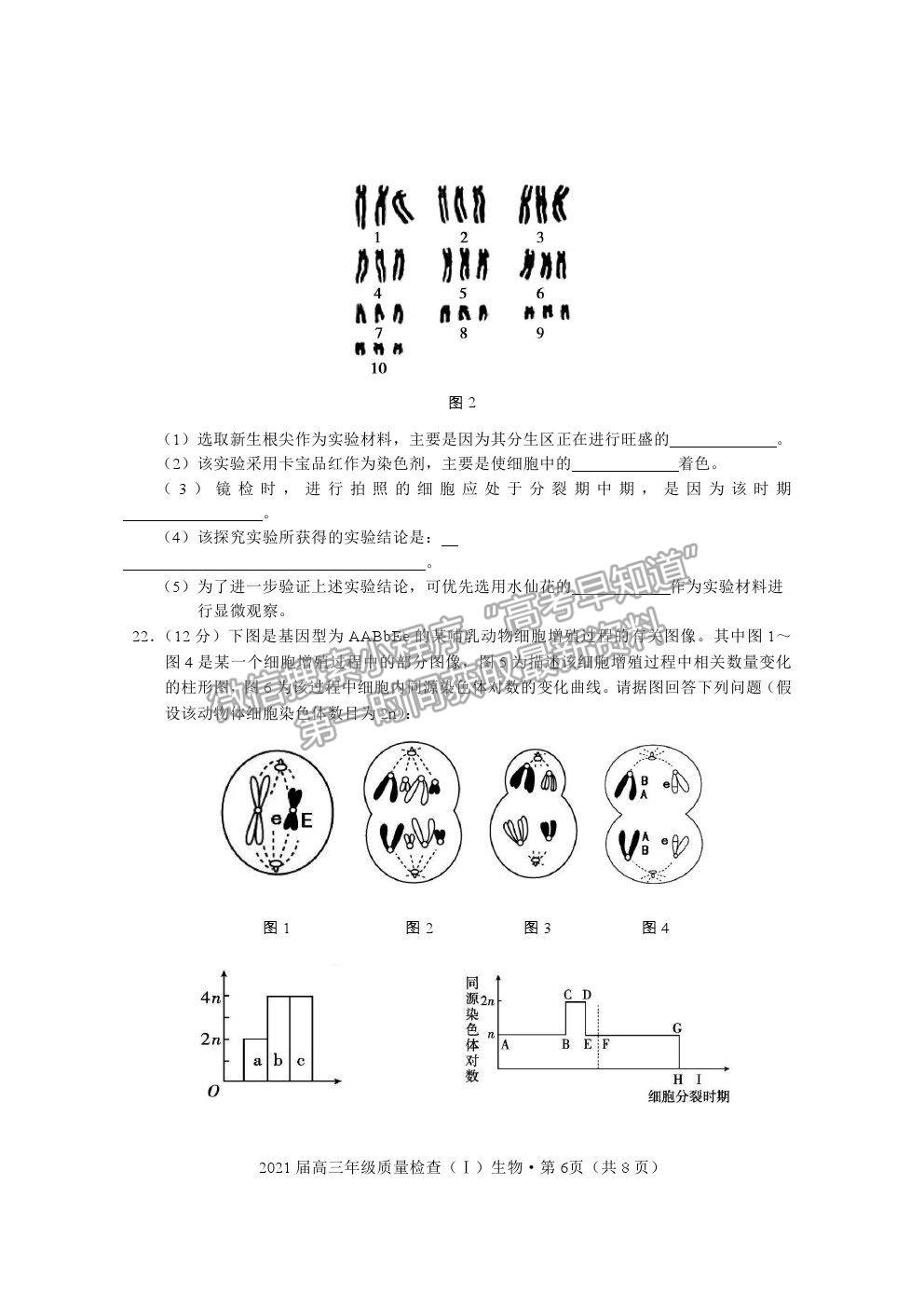 2021湖北省荊州市高三上學(xué)期質(zhì)檢（Ⅰ）生物試題及參考答案