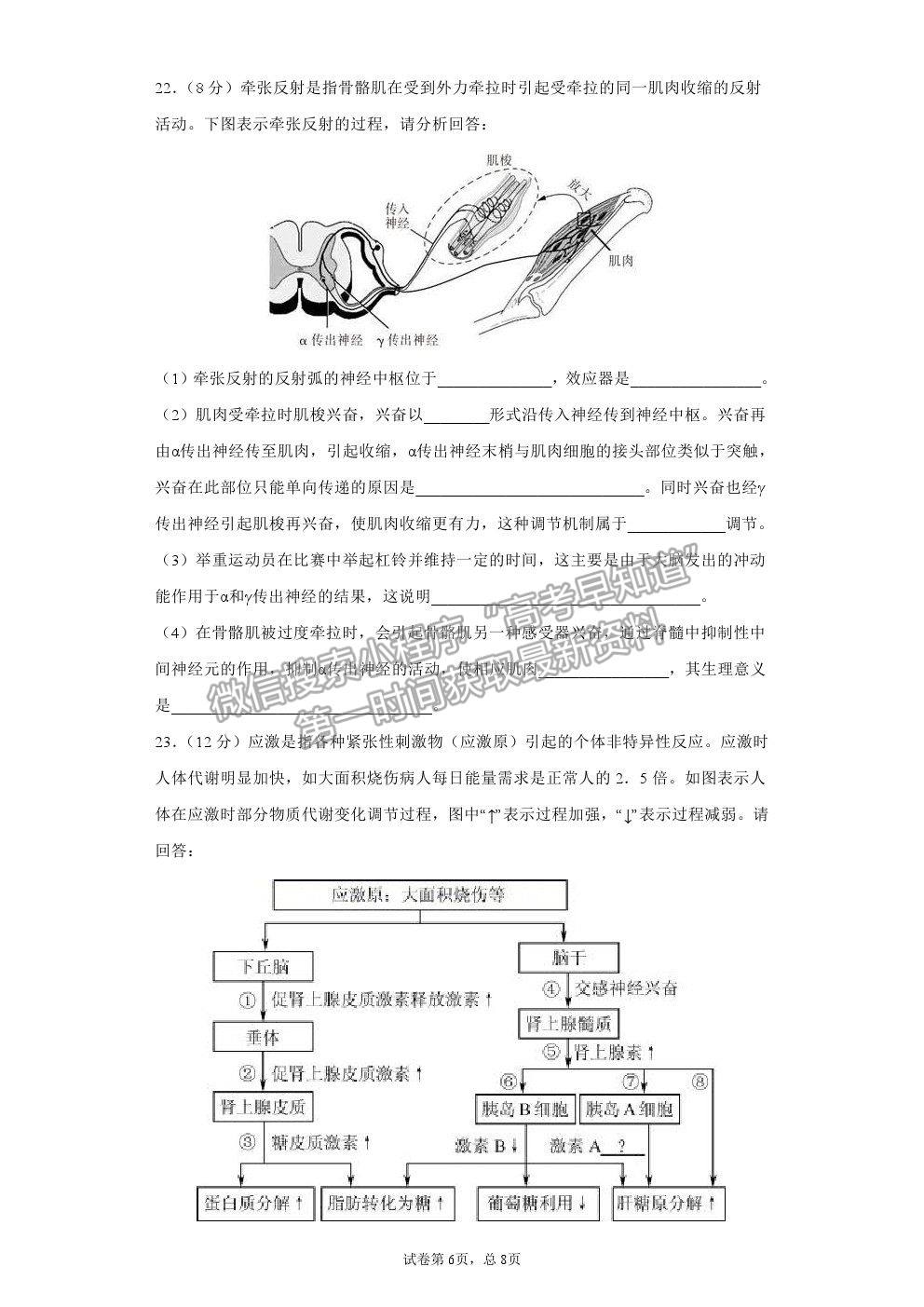 2021莆田二中高二上學(xué)期12月月考生物試題及參考答案